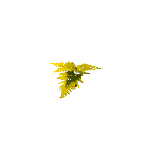 Fern Yellow Default 05